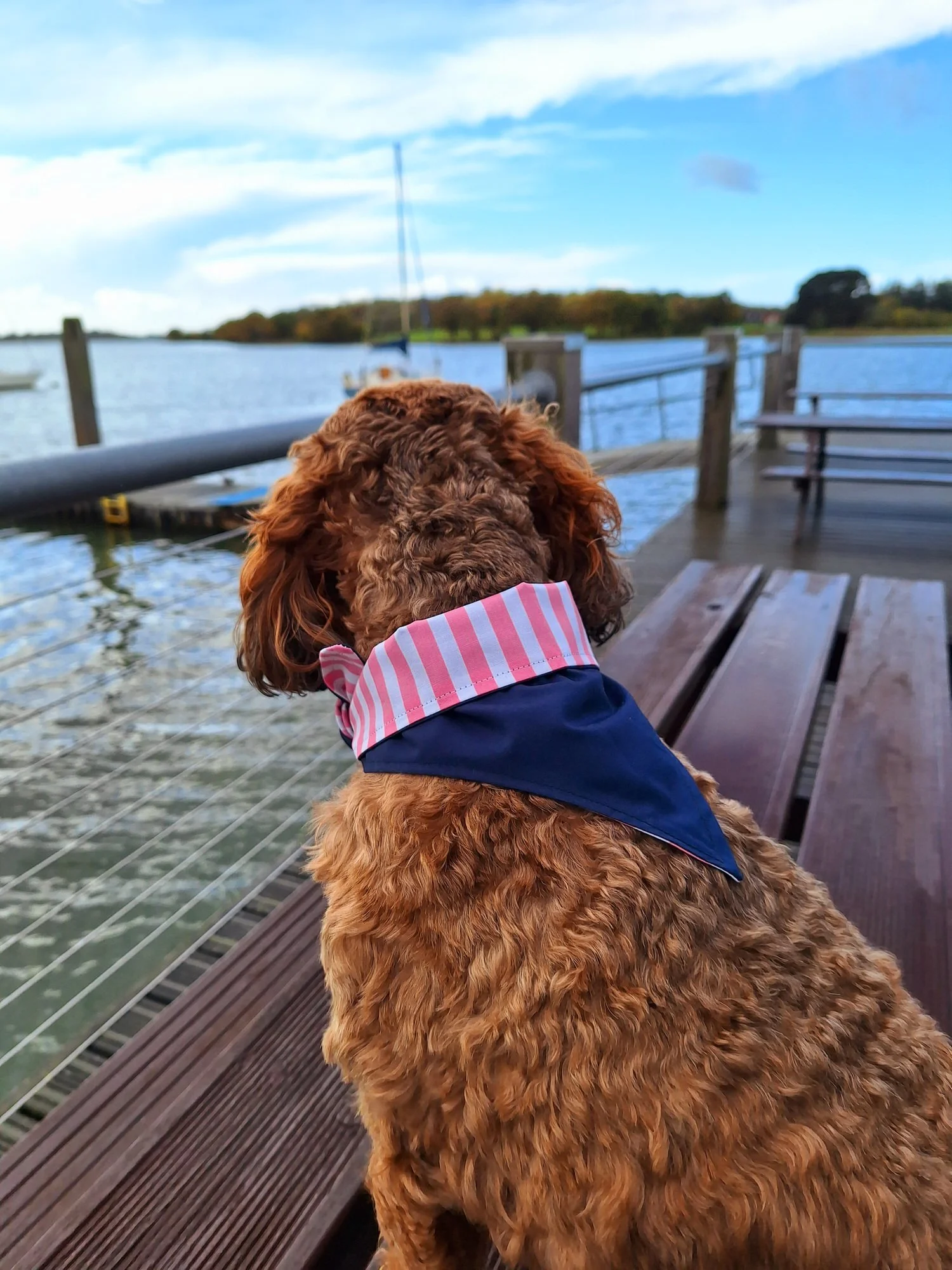 Dog Bandana & Matching Scrunchie - Navy / Pink Nautical Stripes